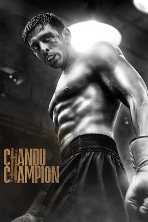 Watch Free Chandu Champion (2024)