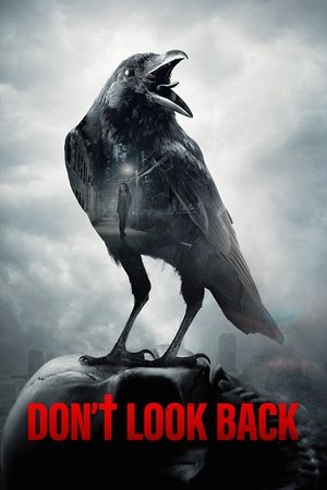 Watch Free Dont Look Back (2020)