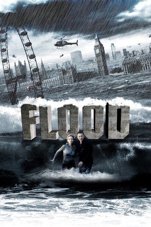 Watch Free Flood (2007) part2
