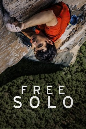 Watch Free Free Solo (2018)