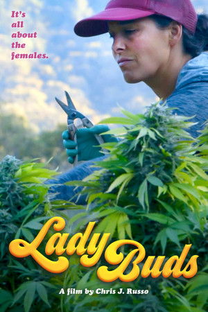 Watch Free Lady Buds (2021)
