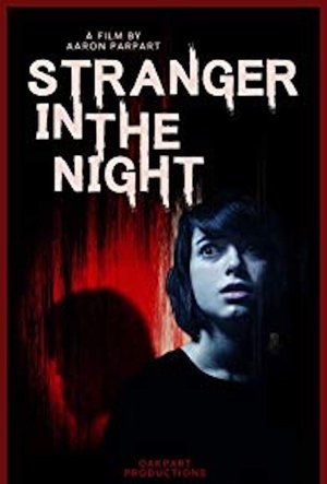 Watch Free Stranger in the Night (2017)