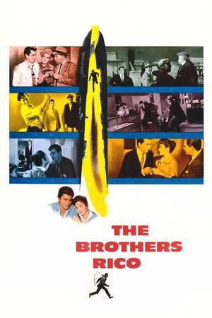 Watch Free The Brothers Rico (1957)