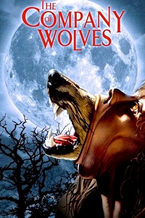 Watch Free The Company of Wolves (1984)