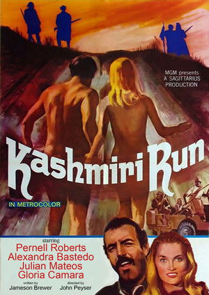 Watch Free The Kashmiri Run (1970)