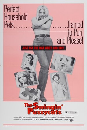 Watch Free The Swingin Pussycats (1969)