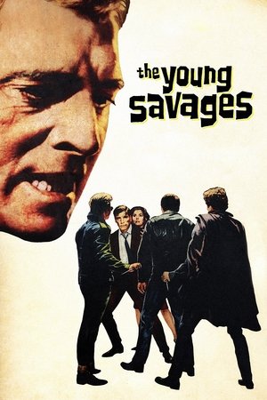 Watch Free The Young Savages (1961)