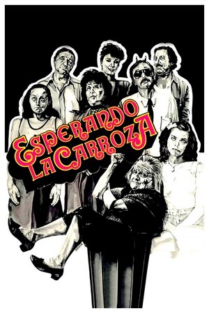 Watch Free Waiting for the Hearse (1985)