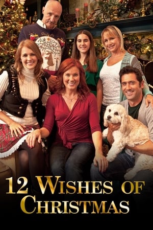 Watch Free 12 Wishes of Christmas (2011)