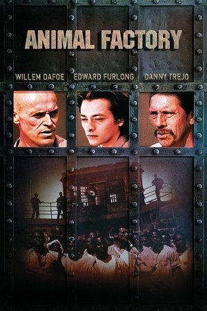 Watch Free Blackthorn (2011)