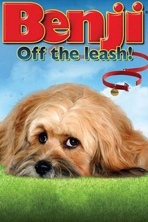 Watch Free Benji: Off the Leash! (2004)