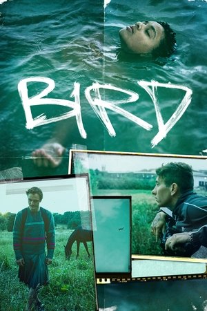 Watch Free Bird (2024)