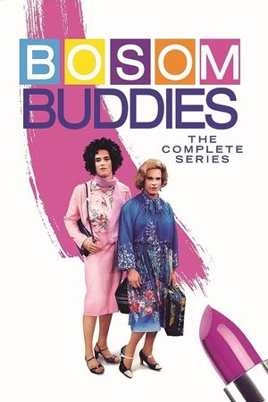 Watch Free Bosom Buddies (19801982)