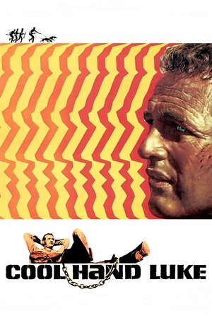 Watch Free Cool Hand Luke (1967)