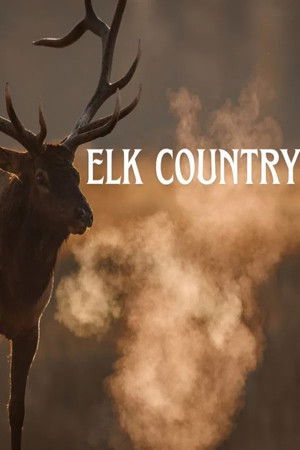 Watch Free Elk Country (2025)