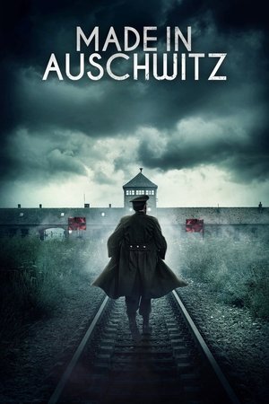 Watch Free Made in Auschwitz: The Untold Story of Block 10 (2019)