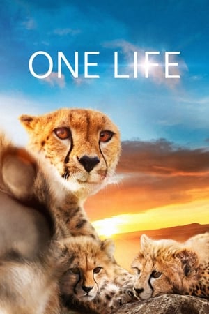 Watch Free One Life (2011)
