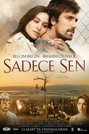 Watch Free Only You (2014)