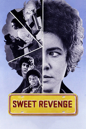 Watch Free Sweet Revenge (1976)