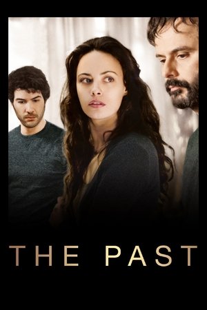 Watch Free The Past (2013)