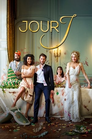 Watch Free Wedding Unplanned (2017)