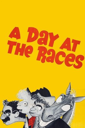 Watch Free A Day at the Races (1937)