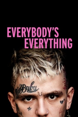 Watch Free Everybodys Everything (2019)