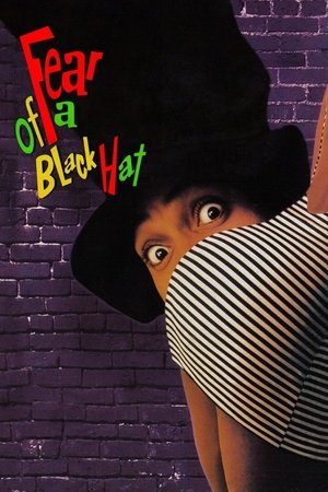 Watch Free Fear of a Black Hat (1993)
