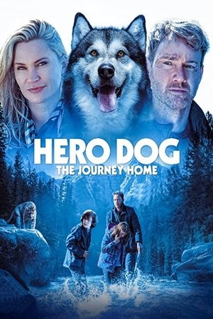 Watch Free Hero Dog: The Journey Home (2021)