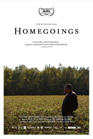 Watch Free Homegoings (2013)