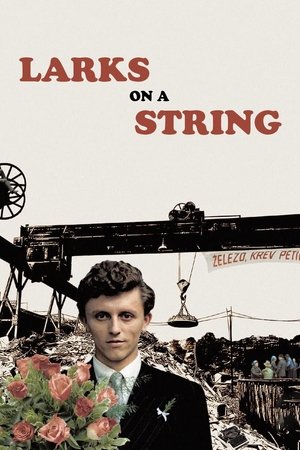 Watch Free Larks on a String (1969)
