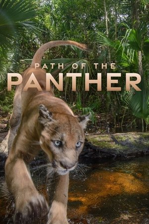 Watch Free Path of the Panther (2022)