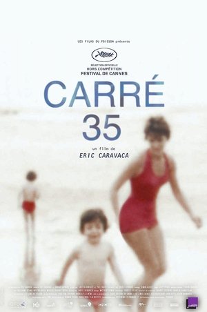 Watch Free Plot 35 (2017)