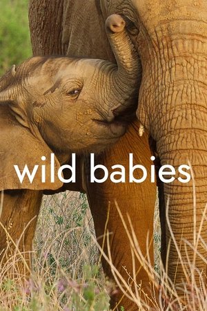 Watch Free Wild Babies (2022-)