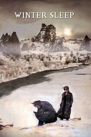 Watch Free Winter Sleep (2014)