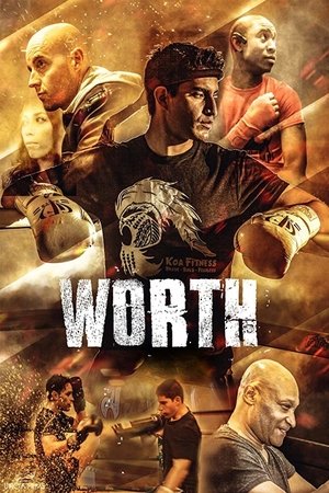 Watch Free Worth (2018)