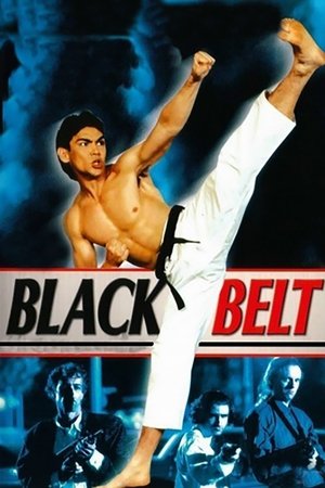 Watch Free Blackbelt (1992)
