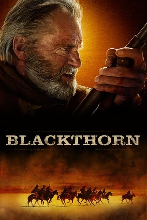 Watch Free Blackthorn (2011)