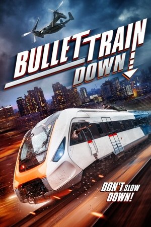 Watch Free Bullet Train Down (2022)