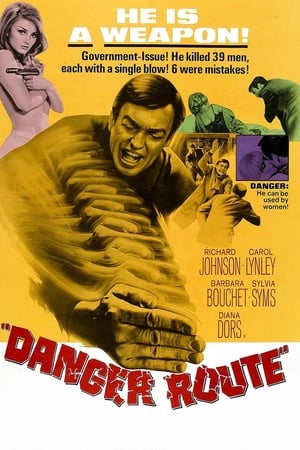 Watch Free Danger Route (1967)