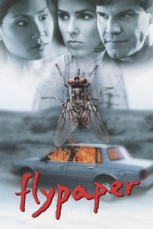 Watch Free Flypaper (1999)
