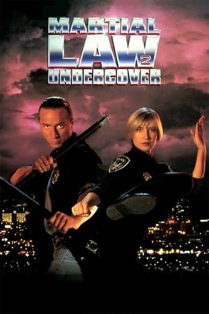 Watch Free Martial Law II: Undercover (1991)
