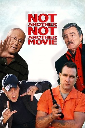 Watch Free Not Another Not Another Movie (2011)