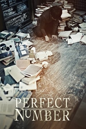 Watch Free Perfect Number (2012)
