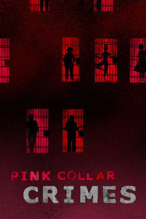Watch Free Pink Collar Crimes TV Series
