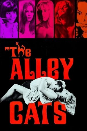Watch Free The Alley Cats (1966)