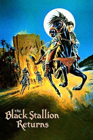 Watch Free The Black Stallion Returns (1983)