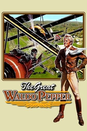 Watch Free The Great Waldo Pepper (1975)