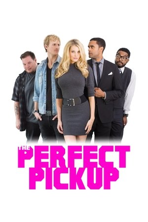 Watch Free The Perfect Pickup (2016)