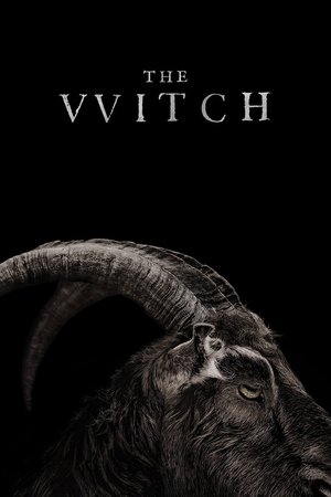 Watch Free The Witch (2016)